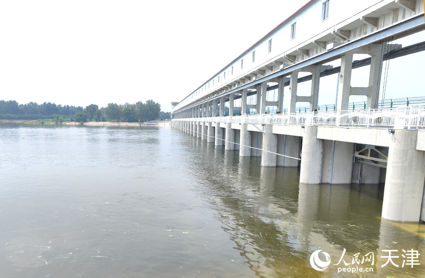 8月9日11时，洪水经独流减河进洪闸流入独流减河。人民网 郭维瑾摄