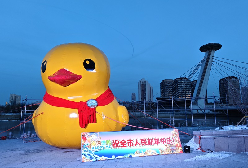 冬装版“海河游鸭”登陆津湾广场6号楼。主办方供图